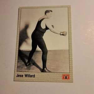 1991 All World AW Sports Boxing Premier Edition Cards Read Listing - Picture 1 of 24