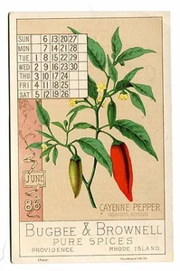 Victorian Trade Card Calendar BUGBEE & BROWNELL SPICES Providence RI June 1886 - Picture 1 of 2