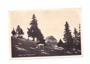 Foto Ak Hotel du Chasseral mit Weide um 1929 - Bild 1 von 2