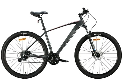 Mountainbike Hardtail MTB 29" Aluminium Scheibenbremsen Graphite RH 48cm Fahrrad - Bild 1 von 3