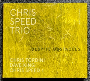 Chris Speed Trio - Despite Obstacles CD EB10 - Picture 1 of 2