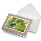 Greeting Card Black-Capped Tanager Bird Nature Ecuador #52641