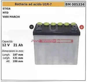 Batterie Ad Säure U1R-7 für MTD Stiga Verschiedene Mark 12V 21AH 005334 - Bild 1 von 1