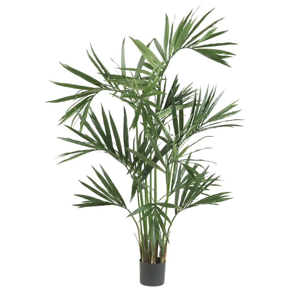 Kentia Palm faux Tree faux Realistic Natural 6' Decor - Image 1 of 1