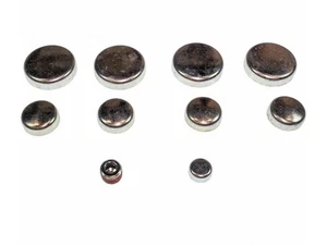 Expansion Plug Kit 13BXRC31 for LeSabre LaCrosse Lucerne Park Avenue Regal 2002 - Picture 1 of 1