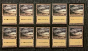 10x Plains MP Tempest Magic The Gathering Magic The Gathering - Imagen 1 de 2