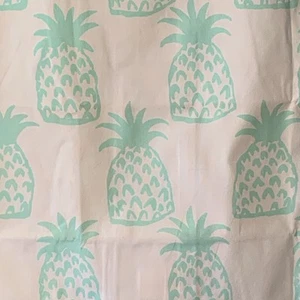 NWT Pottery Barn Kids Aqua Pineapple Decorative Euro Sham Square 26”X 26” - Picture 1 of 7