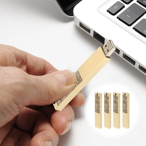 4 szt. Przydatny dysk flash USB Disk Shell Plum Blossom USB Disk Futerał ochronny - Zdjęcie 1 z 12