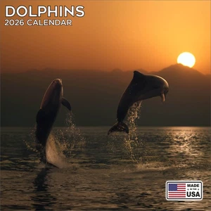 Delfine Kalender 2026 - Tier Wandkalender - Made in USA! - Bild 1 von 8