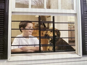 Grisham Protection Plus PP-SPAG-4 Black 4-Bar Window Security Guards - Picture 1 of 7