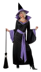 California Costumes Incantasia The Glamour Witch Halloween Costume Size Medium - Picture 1 of 4