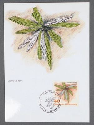 MayfairStamps 列支敦士登 FDC 1992 年蕨类植物首日封面 aau_86089 — 第 1/2 张图片