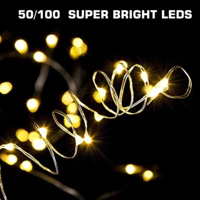 50-100 LEDs Battery Operated Mini LED Copper Wire String Fairy Lights + Remote - Image 1 of 4