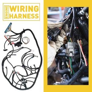LS1 Standalone Harness Fits 35582 T56 OR Non-Electric Tran 4.8 5.3 6 DBC LS1 - Picture 1 of 16