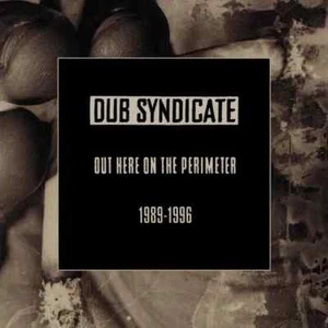 DUB SYNDICATE - OUT HERE ON THE PERIMETER 1989-1996 5-CD BOX SET - Imagen 1 de 1