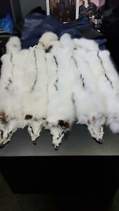 White fox pelt, white with black strap fox pelt,  SGAGA arctic marble fox pelt