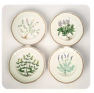 Set 4 Longchamp France Herb Dessert Salad Plates 6.5" Grannycore 1970 Tea Dishes - Picture 1 of 9