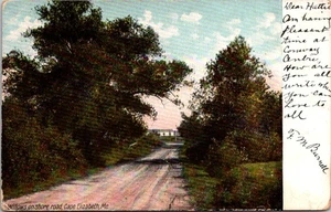 Postcard Willows On Shore Road Cape Elizabeth Maine ME - Picture 1 of 2