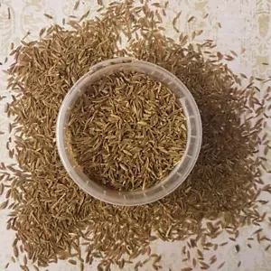 Pure Organic Cumin/jeera Seeds Premium Quality Grade A 100% From Ceylon free  - Picture 1 of 5