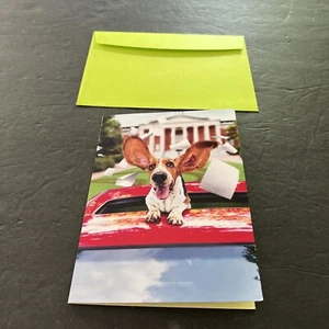 Avanti Press Funny Dog There’s A Great Big World Just Waiting For You! - Picture 1 of 4