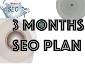 Search Engine Optimsation Monthly SEO all types of websites FREE upto $250ads - Picture 1 of 6