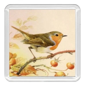 Bird Robin Redbreast Lovely Acrylic Coaster Novelty Drink Cup Mat Great Gift - Picture 1 of 1