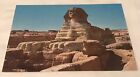 Vintage Egypt Giza Post Card 1773