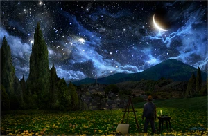 Rompecabezas de madera Starry Skies (509 piezas) - Imagen 1 de 8