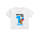 Personalised Teddy Birthday T-Shirt, Any Age Birthday, Boys Birthday T-shirt
