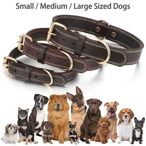 Weiches Leder Hundehalsband strapazierfähig robust mit Schnalle für kleine bis große Hunde - Bild 1 von 15