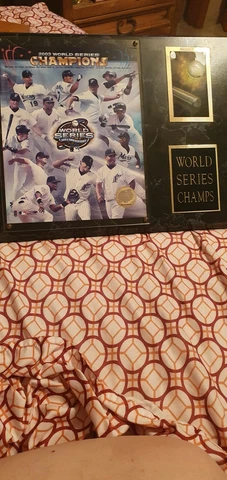 2003 Marlins World Series Plaque Cover