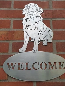 Edelstahschildl Wandschild Berner Sennenhund  Wandschild geschliffen. - Bild 1 von 2