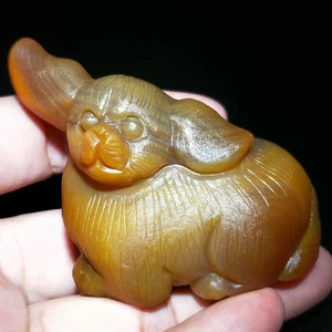 Seltene China Innere Mongolei Gobi Schnitzerei Hund Achat Stein Präparat - Bild 1 von 7