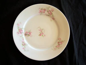 VICTORIA AUSTRIA DINNER PLATE pink and white flowers, green leaves - Picture 1 of 5