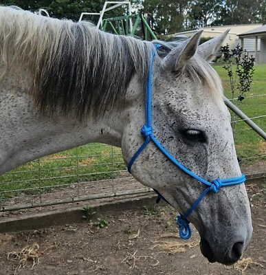 Handcrafted FULL Rope Halter Blue - Horse Riding Headstall Equine - image 1 of 4