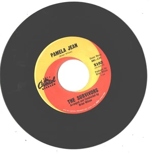 SURVIVORS-(BEACH BOYS)-RARE 7'-45 on CAPITOL-(PAMELA JEAN)--NEAR MINT - Picture 1 of 4