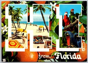 Postcard Hi from Florida Large Letter Greeting Continental - Picture 1 of 2