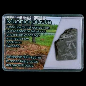 1.3" Muonionalusta Meteorite Specimen Sweden Meteorites Display 11.82 Grams - Picture 1 of 5