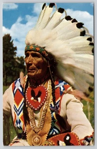Berkeley California Native American Chief Natural Color Chrome Postcard - Picture 1 of 2