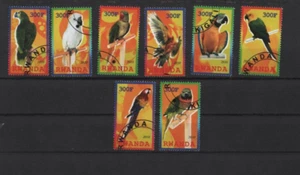 Rawanda Sittiche Papageien (6a) - Picture 1 of 1