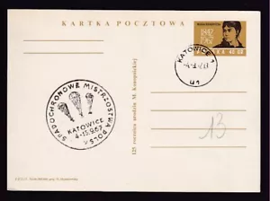 POLEN 40g POSTKARTE POLNISCHER FALLSCHIRM MEISTERSCHAFTSGÜTESIEGEL & KATTOWITZ STEMPEL 67 - Bild 1 von 2