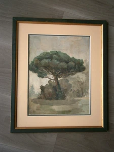 Pittura Acquerello Paesaggio Pino 1920-30 Cornice Decorativo 48x40 Antico - Imagen 1 de 8