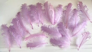 Bundle 20pcs Lilac Curly Goose Feathers Ideal for Crafts, Costumes, Millinery - Picture 1 of 7