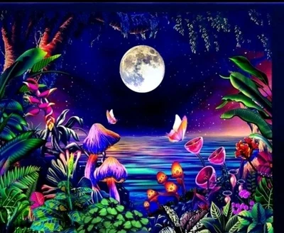 59"x78" Negro LT Tapiz Nórdico Botánico Setas Luz de Luna Agua Colgante de Pared Foto 1 de 4