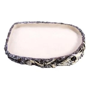 Reptile Water Bowl Reptile Feeding Dish Reptile Feeder Food and Bowl-1Pcs - Picture 1 of 7