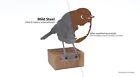 Baby Robin metal bird art mini screw on Patina Rusty Garden Art Ornament