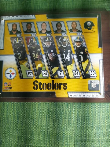 2017 NFL Pittsburgh Steelers Photo File players pictures/plaque, used condition Cover