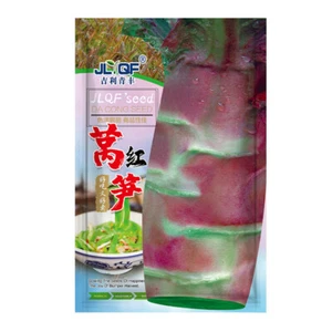 Red lettuce seeds are heat-resistant and cold resistant 红莴笋原装3克(3000粒) - Picture 1 of 16