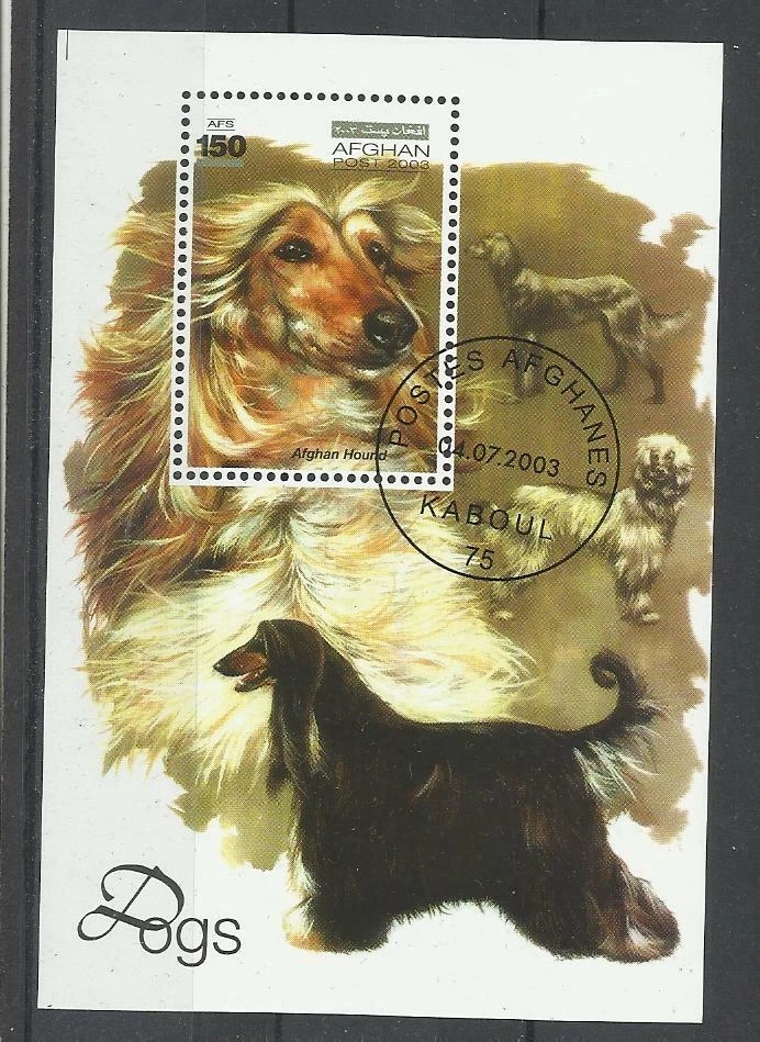  chien dog hund perro Bloc Feuillet oblitéré 155 Afghanistan - Photo 1/1