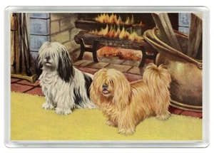 LHASA APSO DOGS LOVELY DOG ART PRINT NOVELTY ACRYLIC FRIDGE MAGNET GREAT GIFT - Picture 1 of 1